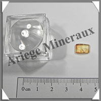 AMBRE (Diptre) - 8x13 mm - 1 gramme - M002