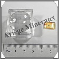 AMBRE (Diptre) - 8x13 mm - 1 gramme - M005