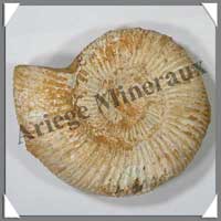 AMMONITE Fossile - 420 grammes - 30x115x100 mm - M010