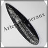 ORTHOCERAS Fossile - 138 grammes - 15x45x160 mm - M016 Maroc