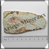 POISSON Fossile (Dastilbe Elongatus) - 55x100 mm - 43 grammes - M005 Brésil