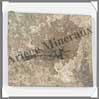 POISSON Fossile (Leuciscus) - 65x75 mm - 82 grammes - C015 Chine