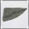 POISSON Fossile (Leuciscus) - 45x80 mm - 25 grammes - C020 Chine