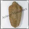 TRILOBITE Fossile - 95 grammes - 55x100 mm - M005 Maroc