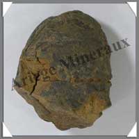 TRILOBITE Fossile - 105 grammes - 40x65 mm - M007