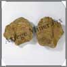TRILOBITE Fossile - 209 grammes - 45x75 mm - M011 Maroc