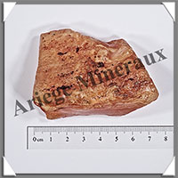 AMBRE (Naturel) - 50 grammes - 70x45x30 mm - A012