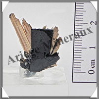 RUTILE sur HEMATITE - 6,6 grammes - 25x18x2 mm - M011