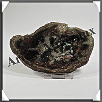 BOIS Fossilis - CONIFERE - 115x75x10 mm - 200 grammes - Y005