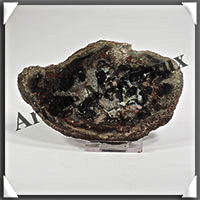 BOIS Fossilis - CONIFERE - 115x75x10 mm - 200 grammes - Y005